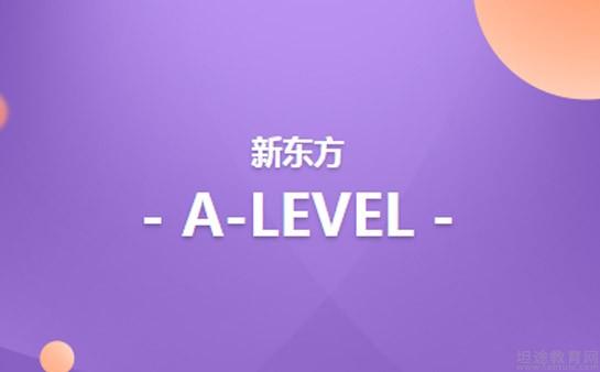 青岛新东方英语