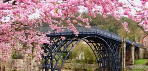 青岛新东方英语学校