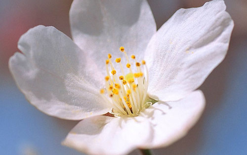 如何提高小学生注意力和观察力