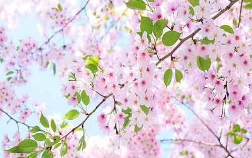 大脑专注力训练方法