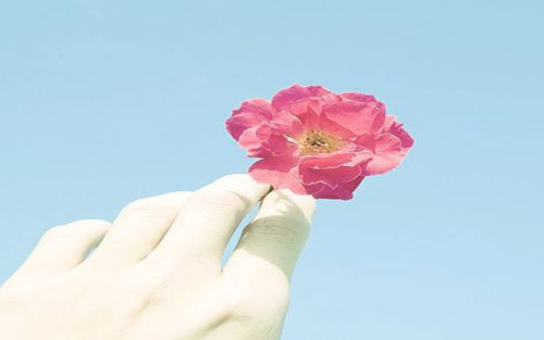 如何提高小学生学习质量