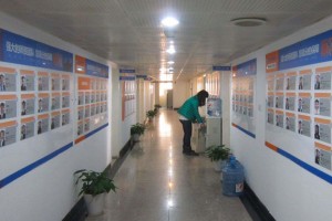 南京国际国际私塾学校(国际学校AP课程适合哪些人)