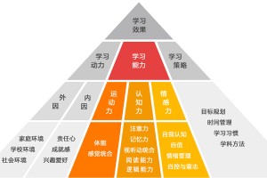 如何让8岁儿童集中注意力