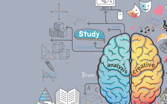 人类如何开发大脑