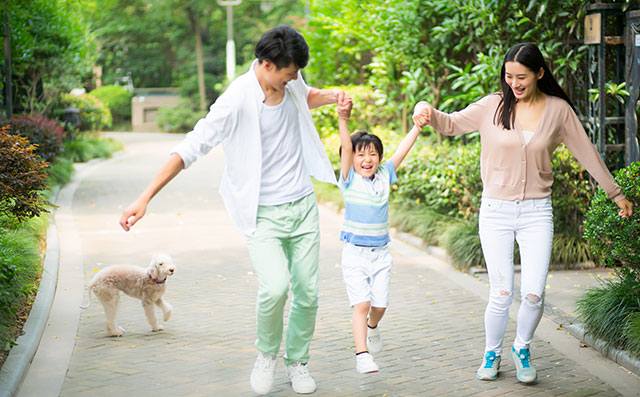 如何让小孩学电脑编程