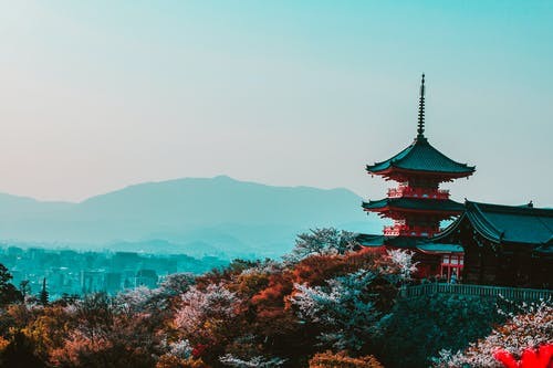 福建日本留学