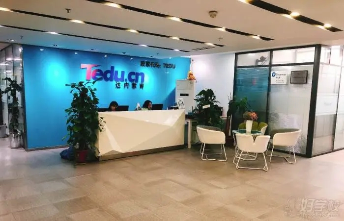 网站