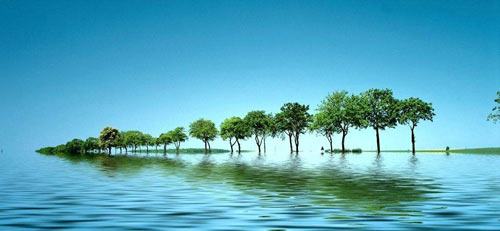 3dmax倒影怎么做_3dmax地板倒影怎么做