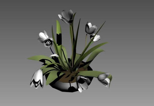 3dmax怎么做花_3dmax怎么做花瓣