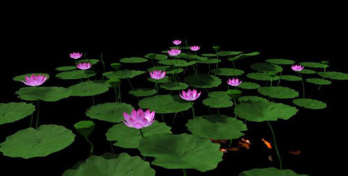 3dmax怎么做花_3dmax怎么做花瓣