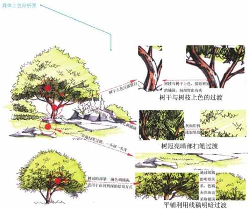马克笔的用法