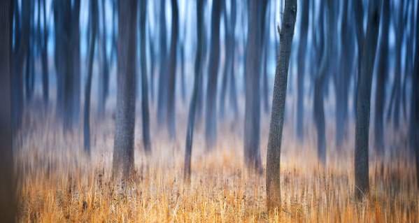 平面设计如何有空间感