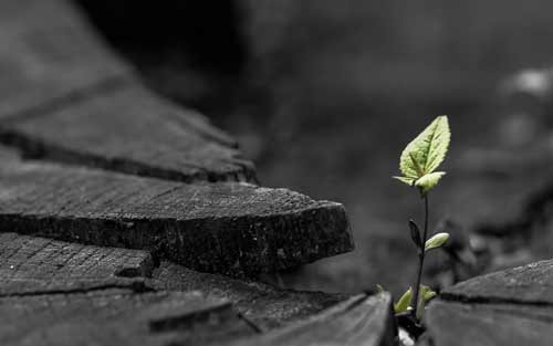 如何提高专注力