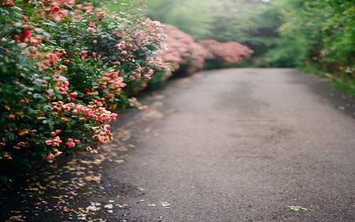 初中学生如何提高注意力