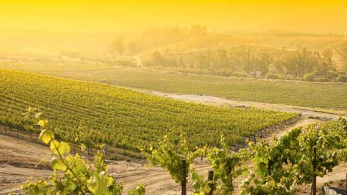 雅思口语3分怎么提高