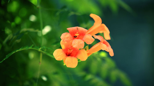 雅思口语part2怎么备考