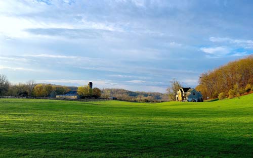 如何五天提高雅思口语
