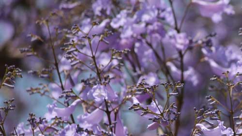 雅思口语part3如何准备