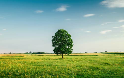 怎样提高雅思口语成绩
