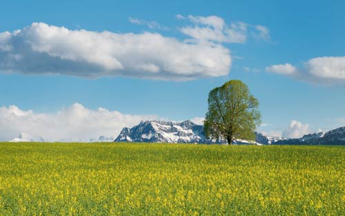 怎样提高雅思口语水平