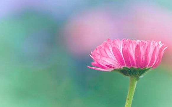 雅思口语part2话题不熟悉怎么办