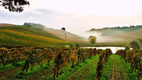 雅思口语part1怎么准备