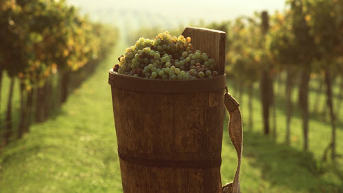 雅思口语p3怎么准备