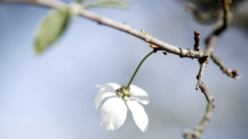 雅思口语如何一次过