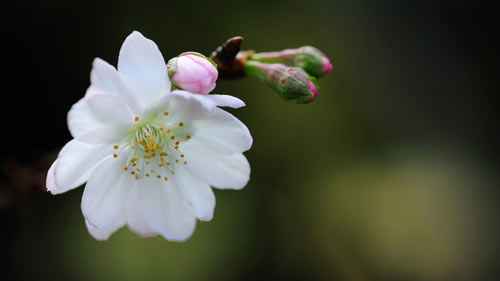 如何提高雅思口语水平