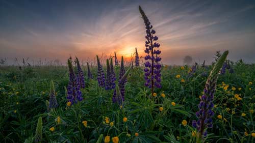 雅思口语part3怎么说