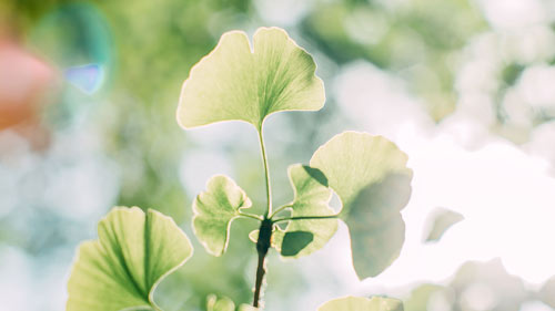 怎么提高雅思口语