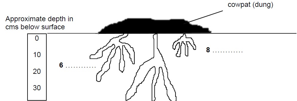 雅思考生学术类阅读样本