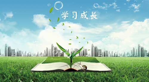 雅思口语描述一个人的外貌
