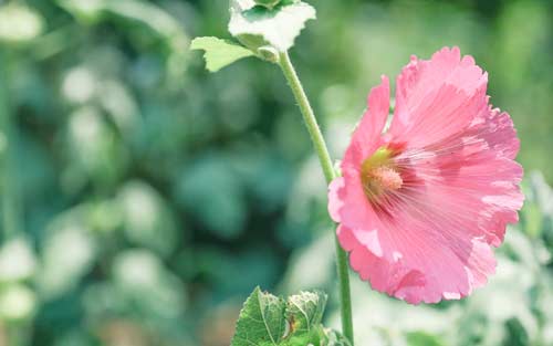 如何提高雅思口语和听力