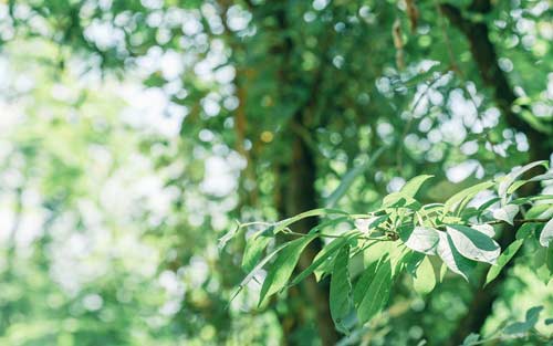 如何突破雅思口语6分