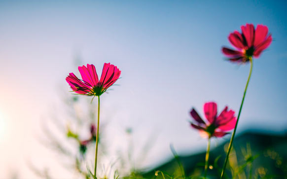 雅思口语如何练习