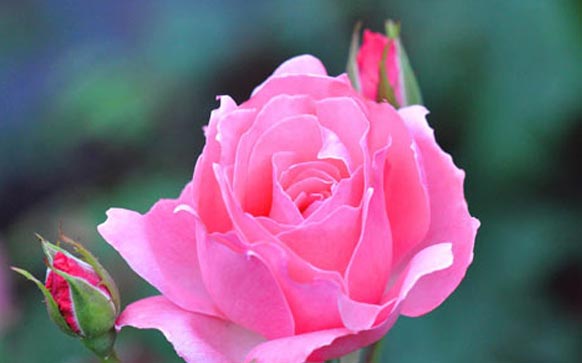 雅思口语考试评分标准冲刺