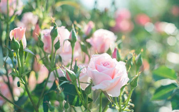 雅思听力高频词汇备考方法