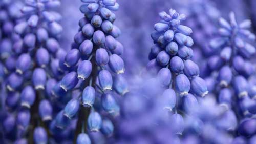 如何提高雅思英语口语