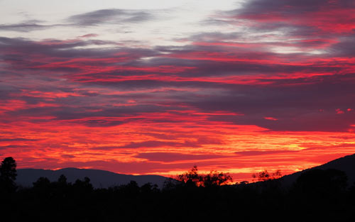 雅思口语不好怎么办