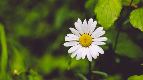 怎么搜集雅思口语话题