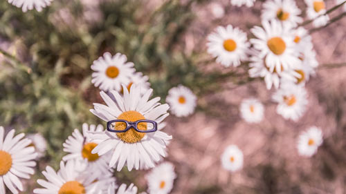 雅思口语3.5怎么提高