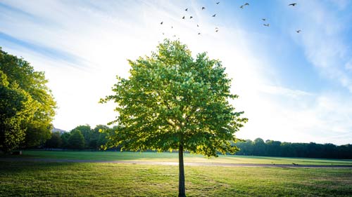 雅思口语第二部分技巧