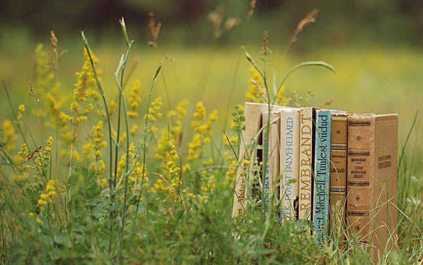 雅思口语学员相关图片