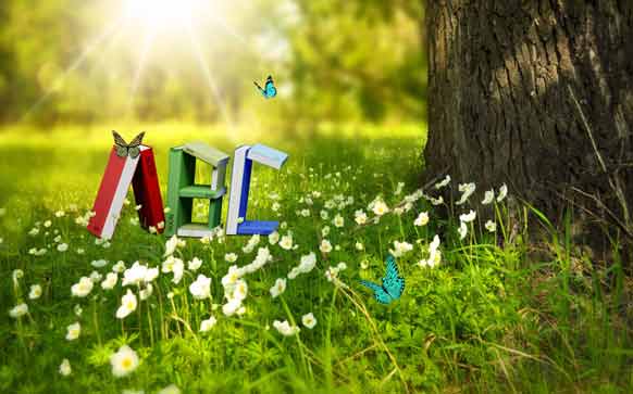 雅思阅读如何提高到7分