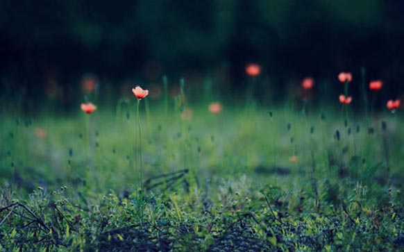 雅思阅读怎么能提高