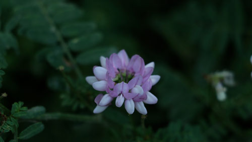 如何准备雅思口语part2