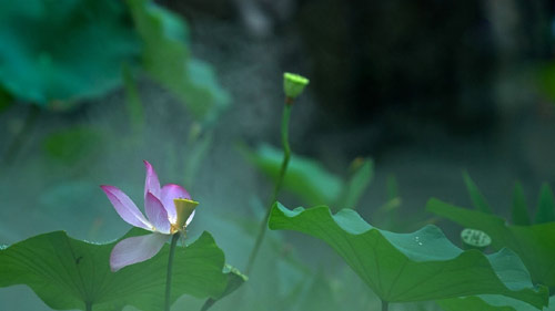 英语雅思口语怎么考