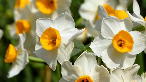 雅思口语想拿高分如何表达