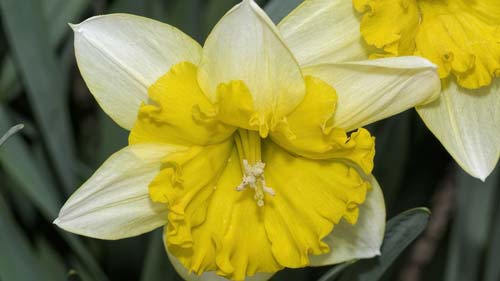 如何准备雅思口语考试